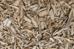 biomass boilers Honeychurch