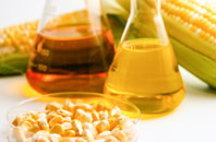 Honeychurch biofuel boiler